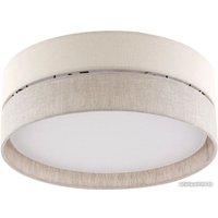 Припотолочная люстра TK Lighting Eco 5775