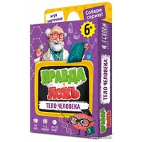 Детская настольная игра ГеоДом Правда-ложь. Тело человека 7192