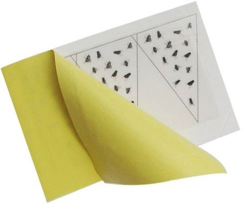

Лента от насекомых Komaroff D30