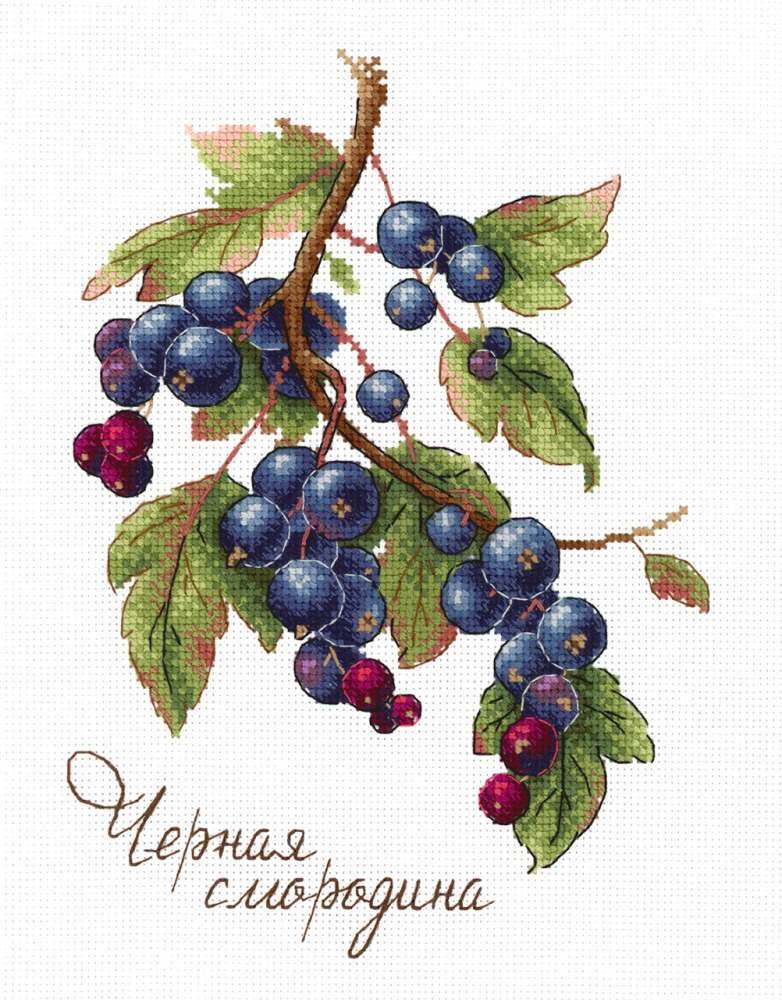 

Набор для вышивания М.П.Студия Дары природы. ЧЕрная смородина