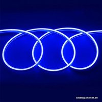 Гибкий неон ЭРА N2835-120-IP67-220V-20m-B