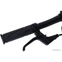 Детский велосипед Maxiscoo S007 Pro 2024 (бронзовый)