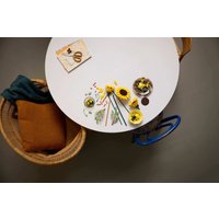 Конструктор LEGO Botanicals 11502 Букет подсолнухов