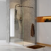 Душевая стенка Wasserkraft Abens 20W40