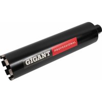 Коронка Gigant Алмазное GDSD-102450