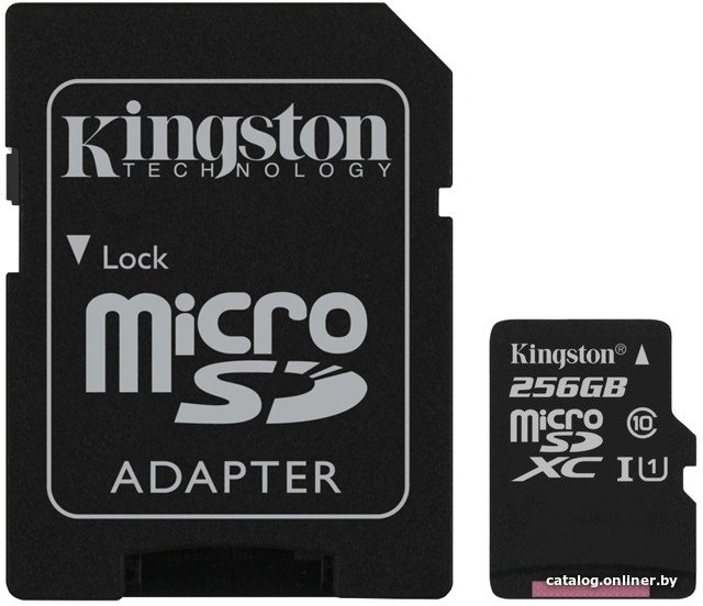 Карта памяти Kingston Canvas Select microSDXC 256GB SDCS/256GB (с адаптером)