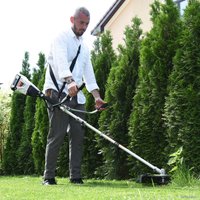 Триммер Daewoo Power DABC 3240Li в Борисове