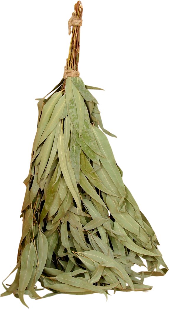 Банный веник Добропаровъ Эвкалиптовый 2691833