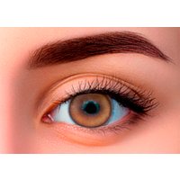 Контактные линзы WDL Color Monthly BC 8.6 honey -4.00