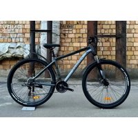 Велосипед Reborn Ghost 29 р.21 2025 (матовый серый)