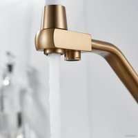 Смеситель Shevanik S968G