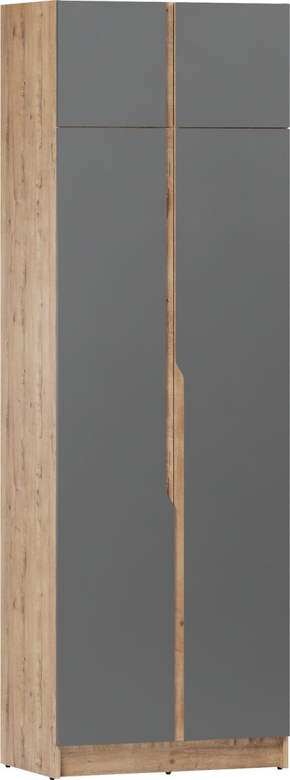 

Шкаф распашной ЭлиГард Aura 2Da (дуб вотан/графит)