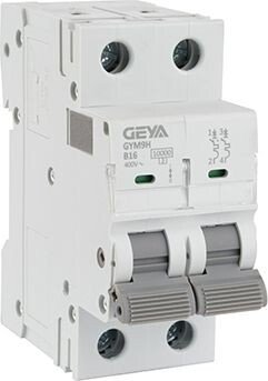 

Выключатель автоматический GEYA GYM9H-2P-16B 2P 16A B 10kA 2M GYM9H2P16B