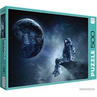 Пазл ФРЕЯ Путь домой PZL-500/33