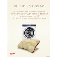 Спальная подушка Espera Home DeLux champagne 3D ЕС-6046 45x65