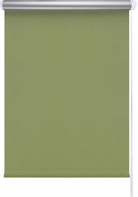 

Рулонные шторы Legrand Блэкаут Сильвер 72.5x175 (зеленый)