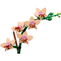Конструктор LEGO The Botanical Collection 10343 Мини Орхидея