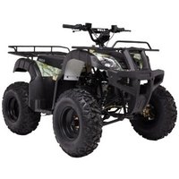 Квадроцикл Wels ATV Thunder 200cc HS (черный)
