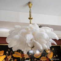 Подвесная люстра L'Arte Luce Feather lamp L03408.02