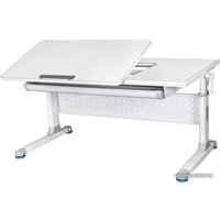 Парта Rifforma Comfort-120 (серый)