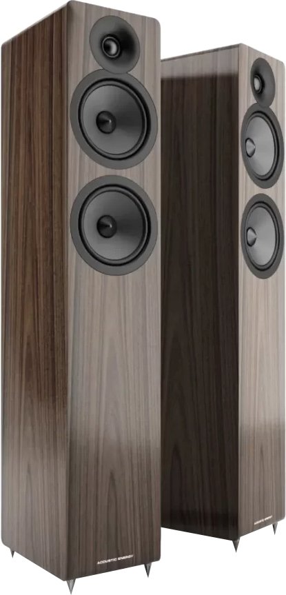 

Напольная акустика Acoustic Energy AE109 2 (орех)