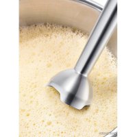 Погружной блендер Bosch MSM881X1