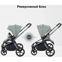 Универсальная коляска Rant Flex Therm RA112 (2 в 1, forest green)
