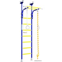 Детский спортивный комплекс Romana R5 Kometa 01.20.7.06.490.03.00-24 (синяя слива)