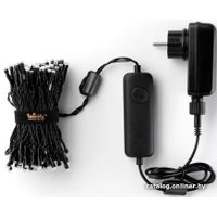 Светодиодная гирлянда Twinkly Strings 150 LEDs Multicolor