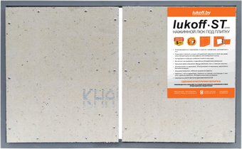 Люк Lukoff ST двухдверный (100x90 см)
