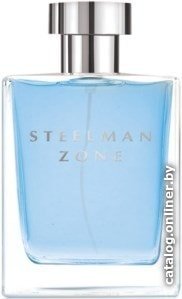 Туалетная вода Dilis Parfum Steelman Zone EdT 100 мл