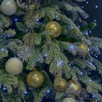 Светодиодная гирлянда Uniel Роса ULD-S10000-1000/DGA UL-00012088 (белый)