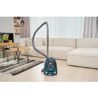 Пылесос Zelmer ZVC031P