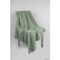 Плед Polesie 2С5000-Д43 120x110 (зеленый туман)