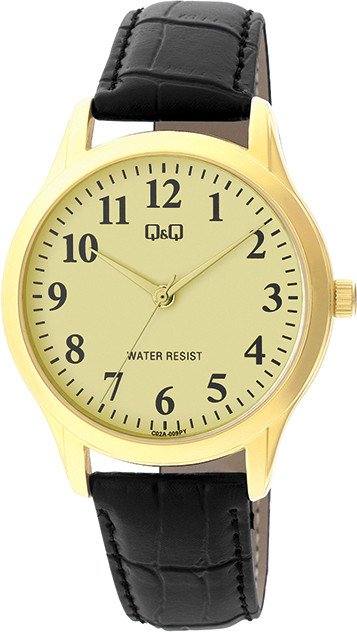 

Наручные часы Q&Q Standard C02AJ009
