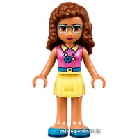 Конструктор LEGO Friends 41340 Дом дружбы
