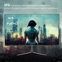 Игровой монитор Evolution GX24iC IPS