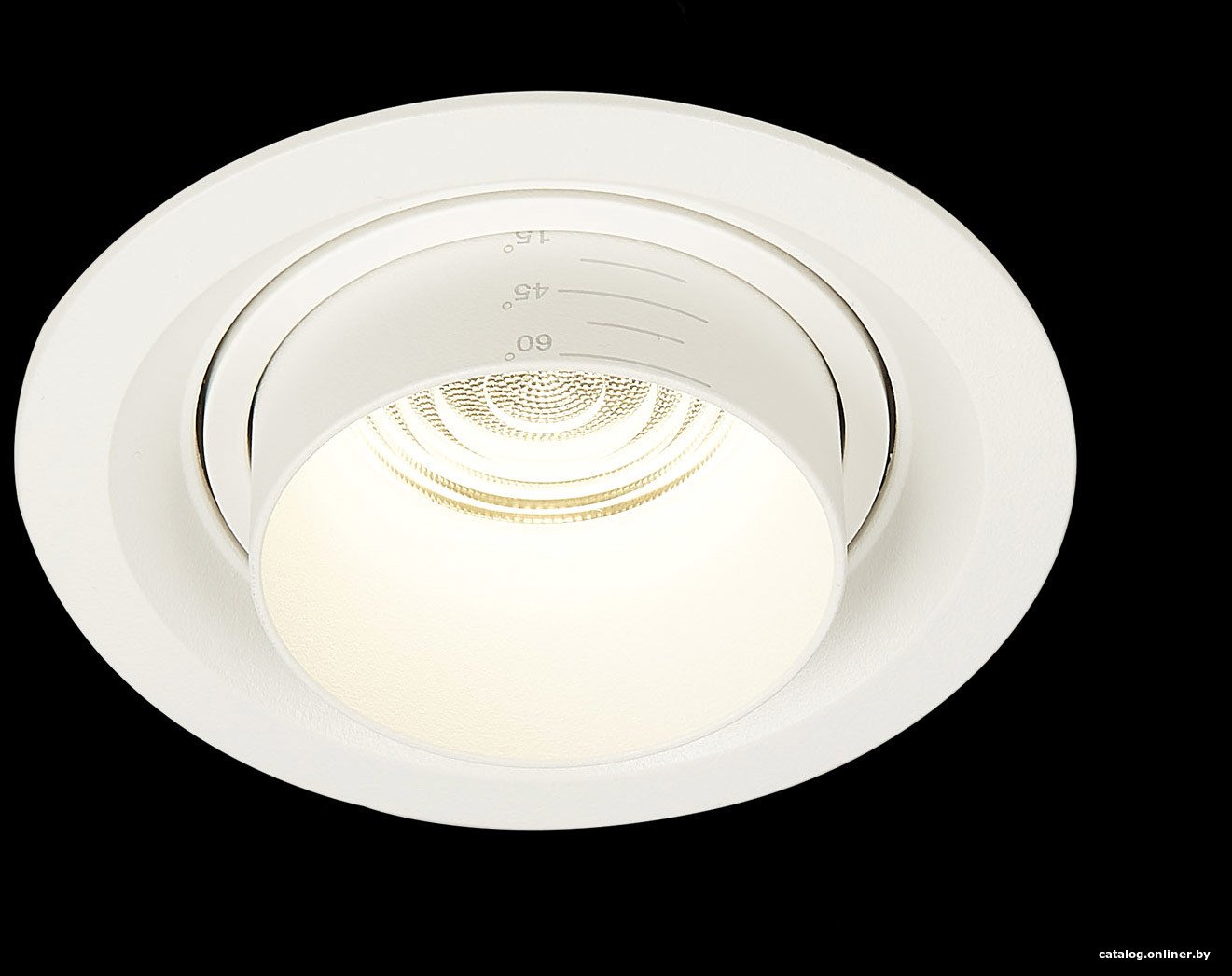 

Точечный светильник ST Luce Zoom ST701.548.12