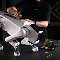 Электроотвертка HOTO Precision Screwdriver Kit Pro QWLSD012 (черный)