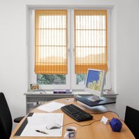 Римская штора Delfa Макси Fancy СШД-02М-244/068 (130x160, персиковый)