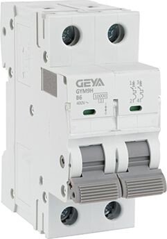 

Выключатель автоматический GEYA GYM9H-2P-6B 2P 6A B 10kA 2M GYM9H2P6B