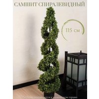 Искусственное растение Merry Bear Home Decor Самшит спиралевидный в горшке AQ10115