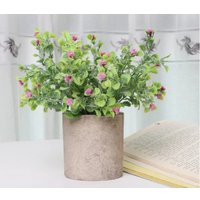 Искусственное растение Sundays Home PB05-12 6405000719C