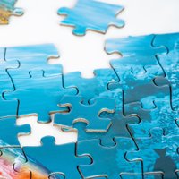 Пазл Dream Makers Океан RI1601C