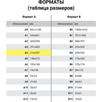 Папка-портфель Staff Everyday 270738 (бордовый)