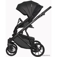 Универсальная коляска Riko Basic Montana Ecco (3 в 1, 12/черный)