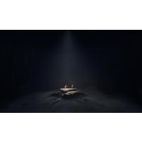  Reanimal для PlayStation 5