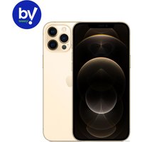 Телефон Apple iPhone 12 Pro Max 256GB Восстановленный by Breezy, грейд B (золотистый)