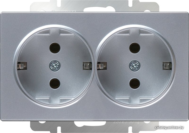 Розетка Werkel WL06-SKG-02-IP20 (серебряный)
