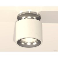 Припотолочная люстра Ambrella light Techno spot XS7510081 SWH/PSL